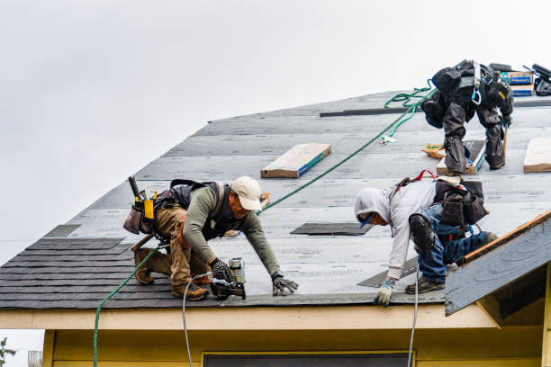 Professional Storm Damage Roof Repair technician working in Long Prairie, MN